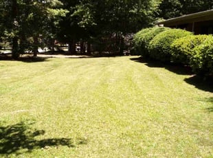 Justin C.'s turf care service result