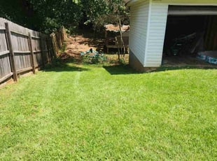 Kirk S.'s turf maintenance service result