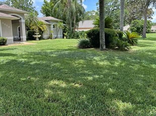 Thomas C.'s turf care service result