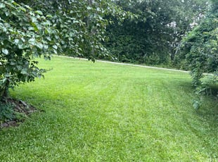 Ginger B.'s lawn care services service result