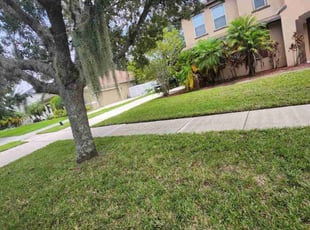 Evelyn B.'s turf care service result