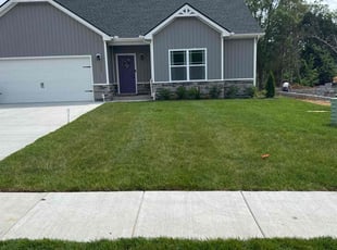 Davi J.'s lawn service service result