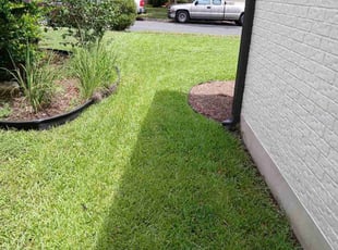 Teena L.'s lawn care service result
