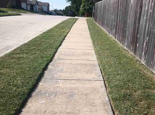 Christina M.'s grass cutting service result