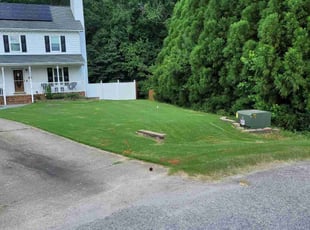 Adam F.'s lawn maintenance service result