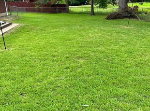 Tina G.'s lawn care services service result