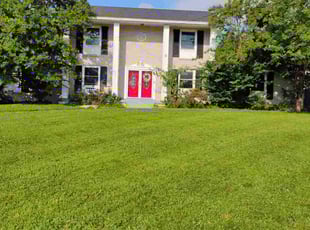 Samantha L.'s grass maintenance service result