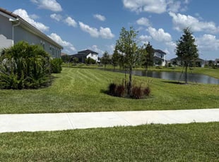 Timothy B.'s grass maintenance service result