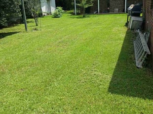 Lacreia B.'s lawn care service result