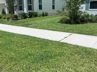 Kimberly W.'s lawn care services service result
