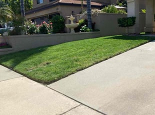 Andre W.'s grass cutting service result