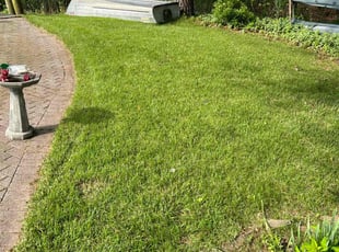 Bonnie S.'s lawn maintenance service result