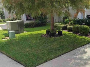 Rebecca H.'s turf maintenance service result