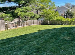 Eric H.'s lawn service service result