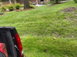 Doris J.'s turf care service result