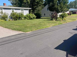 Arpit P.'s lawn care service result