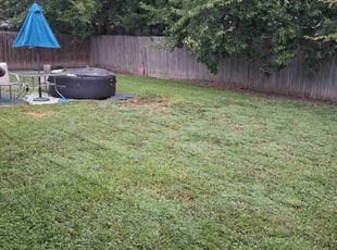 Catie O.'s grass maintenance service result