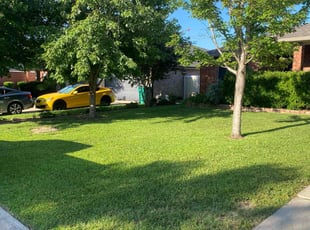 Tricia M.'s lawn service service result