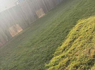 Matt N.'s turf maintenance service result