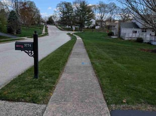 James P.'s landscaping services service result