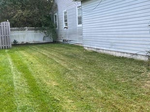Ron S.'s turf maintenance service result