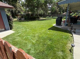 Rhonda M.'s lawn care services service result