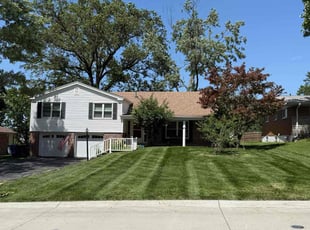 Vanessa S.'s yard service service result