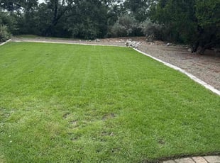 Loretta B.'s turf care service result