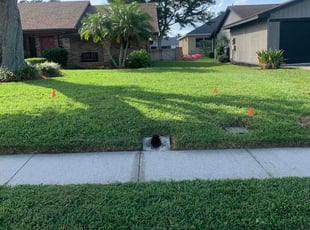 Patricia O.'s lawn service service result