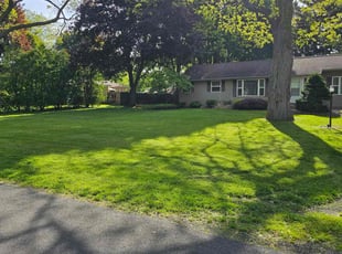 Suzanne S.'s turf maintenance service result