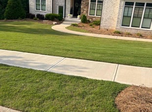 Tyler D.'s lawn care services service result