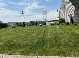 George G.'s grass maintenance service result