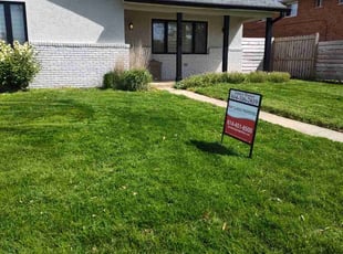 Sean T.'s turf maintenance service result
