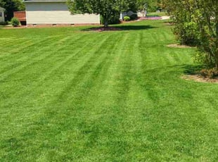 Stacey C.'s turf care service result