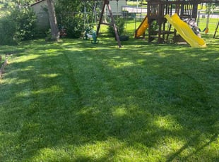 Avril M.'s lawn care services service result