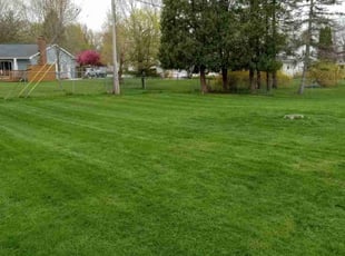 Tracey S.'s grass cutting service result