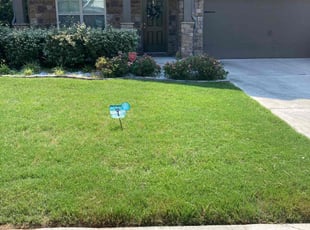 Flint B.'s landscaping services service result
