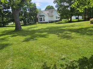 Jhonson A.'s turf maintenance service result