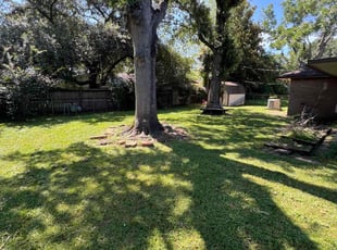 Rosalinda T.'s lawn service service result