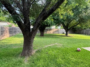 Minda L.'s grass maintenance service result