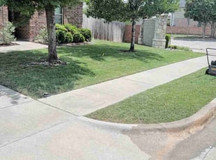 Prince M.'s grass maintenance service result