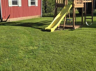 Jessica R.'s turf care service result