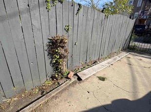 Scarlene A.'s Bush Trimming service result