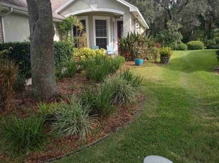 Kasie M.'s lawn maintenance service result