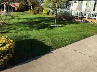 Craig W.'s lawn care services service result