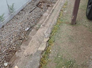 Todd G.'s lawn care service result