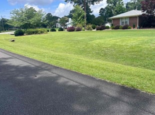 John H.'s grass cutting service result