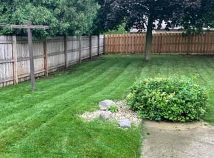 Antonio D.'s lawn care service result