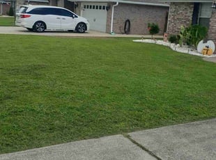 Lorraine P.'s grass cutting service result