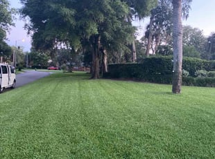 Kimberly A.'s turf care service result